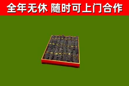 三亚市回收海参
